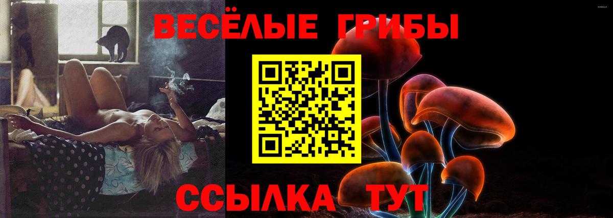 Камень-на-Оби  Псилоцибиновые грибы Psilocybine cubensis  Вход с VPN  Галлюциногенные грибы прущие грибы 
